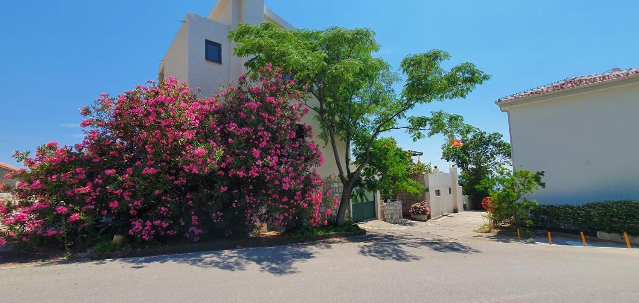 Boutique Home Saltaragazza Petrovac Exterior foto