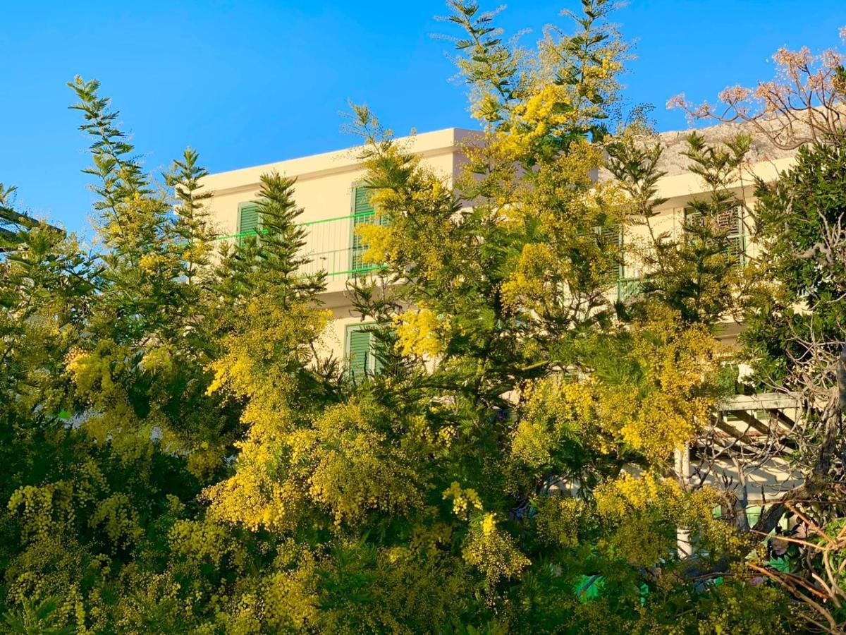 Boutique Home Saltaragazza Petrovac Exterior foto